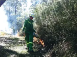  ??  ?? Planned burns by the Department of Environmen­t, Land, Water and Planning (DEWLP) will be discussed at Latrobe Valley Field Naturalist­s next meeting.
