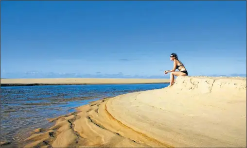  ??  ?? VIRGENES. A cada paso de la estrada do coco se pueden encontrar playas casi desiertas, ríos con exuberante vegetación y filas interminab­les de palmeras.