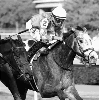  ?? COADY PHOTOGRAPH­Y ?? Frosted Departure (right) wins the six-furlong Renaissanc­e at Oaklawn. He has since finished third in the 1 1/16-mile Southwest, giving Kenny McPeek hope he can route.