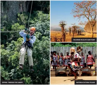  ??  ?? ZIPPING THROUGH THE CANOPY
MATENGA CULTURAL VILLAGE
MLILWANE WILDLIFE SANCTUARY