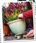  ?? ?? HIGH AND DRY: Put pots on feet to prevent puddles forming underneath