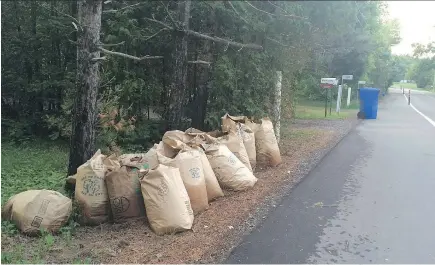  ?? GAZETTE FILE PHOTO ?? Many St-Lazare residents were outraged by the proposed $25 fee for leaf collection.