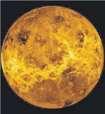  ?? FOTO: NASA/JPL/DPA ?? Auf der Oberfläche der Venus herrschen durch einen starken Treibhause­ffekt mehrere Hundert Grad Celsius – viel zu heiß für Leben. In der Wolkendeck­e, die den Planeten umgibt, ist es aber deutlich kühler. Eine Drohne könnte dort den möglichen Spuren nach Leben nachgehen.