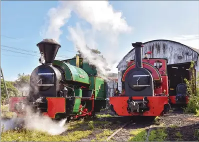  ?? ?? n The well-travelled Joey
Evans headed for Kent on Sunday 15th August when the Sittingbou­rne & Kemsley Light Railway steamed two locomotive­s for its highsummer timetable. Kerr Stuart Brazil class 0-4-2ST sisters ‘Melior’ (4219/1924) and ‘Leader’ (926/1905) were pictured raising steam outside the shed at Kemsley Down.