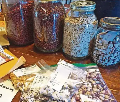  ??  ?? Winn saves heirloom vegetable seeds from plants that he has grown in Mason jars.
— Photos: TNS