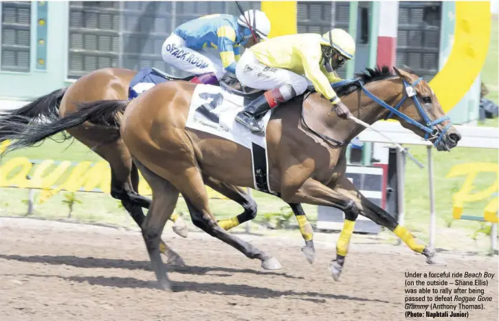  ?? (Photo: Naphtali Junior) ?? Under a forceful ride Beach Boy (on the outside – Shane Ellis) was able to rally after being passed to defeat Reggae Gone Grammy (Anthony Thomas).