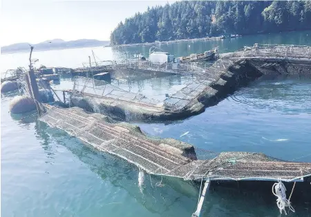  ?? KURT BEARDSLEE, WILD FISH CONSERVANC­Y ?? The damaged Cooke Aquacultur­e net pen near Cypress Island in Washington state.