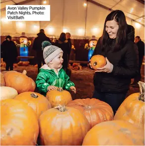  ?? ?? Avon Valley Pumpkin Patch Nights. Photo: Visitbath