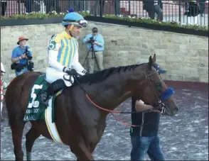  ?? The Sentinel-Record/Richard Rasmussen ?? UNDEFEATED: Jockey Joel Rosario and Nadal head into the winner’s circle after winning the second division of the Arkansas Derby Saturday at Oaklawn Racing Casino Resort.