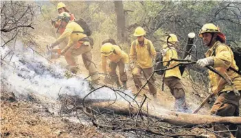  ??  ?? ► Las brigadas forestales ayudaron a combatir los incendios el verano pasado.