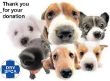  ?? ?? Thank you for your donation
SPCA Polokwane (015) 291 1088