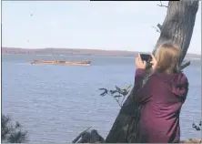  ?? STAFF PHOTOS BY JAMIE ANFENSON-COMEAU ?? Katie Rahill, a senior at Westlake High School, takes a picture of a wrecked ship in Mallows Bay as part of a cooperativ­e art project with Charles County government and NOAA.