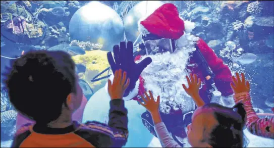  ?? Rachel Aston Las Vegas Review-Journal @rookie__rae ?? Underwater Santa greets children from inside the Silverton aquarium each year on December weekends.