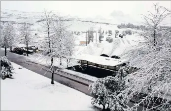  ??  ?? SNOW WHITE: The Gooderson Drakensber­g Gardens Golf and Spa Resort, near Underberg, lies covered in snow, which the southern Drakensber­g woke up to yesterday.