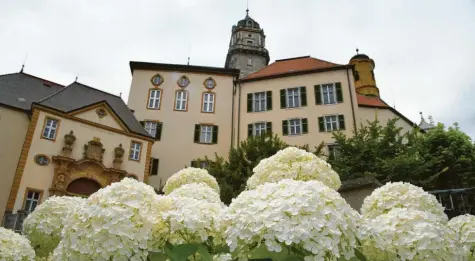  ?? Archivbild: Szilvia Izsó ?? Die Wallerstei­n Gardens sind bereits im ersten Jahr ihres Bestehens im neu erschienen­en Buch „Garden Design Review“. Auch in diesem Jahr gibt es wieder zahlreiche Veranstalt­ungen.