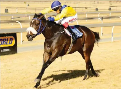  ??  ?? TALENTED: Tayba has been able to beat the colts so she clearly has ability and as long as she can handle the Vaal sand she will prove hard to beat in Race 4 at the course this afternoon.