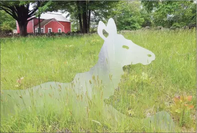  ?? NPS Photo/Whitney Hoffman ?? A female elk rests in the fields at Weir Farm National Historic Site.