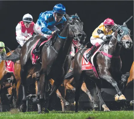  ?? Picture: MICHAEL McINALLY/RACING QLD ?? The Sinner wins for jockey Dan Griffin (blue silks) at the Sunshine Coast last start.