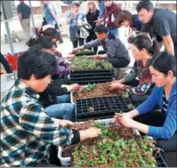  ?? WANG QIANG / FOR CHINA DAILY ?? Xiaogang village founded an argicultur­e and forestry industrial park in 2014, and has been training local farmers.