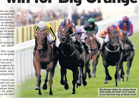  ??  ?? Big Orange ridden by James Doyle (left) holds off Order Of St George to win the Gold Cup at Royal Ascot