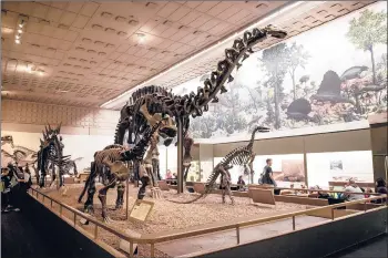  ?? KASSI JACKSON/HARTFORD COURANT ?? Dinosaur Hall will be one of two galleries at Yale Peabody Museum to close at the end of December. The other is Hall of Mammalian Evolution. The rest of the museum will close at the end of June 2020 for the three-year renovation project.