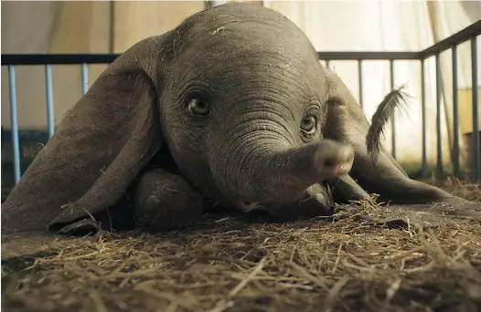  ?? — WALT DISNEY PICTURES ?? Dumbo gets the live-action treatment from Disney this year with Tim Burton at the helm.