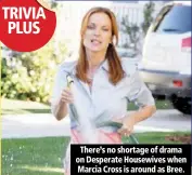  ??  ?? there’s no shortage of drama on desperate housewives when marcia cross is around as bree.