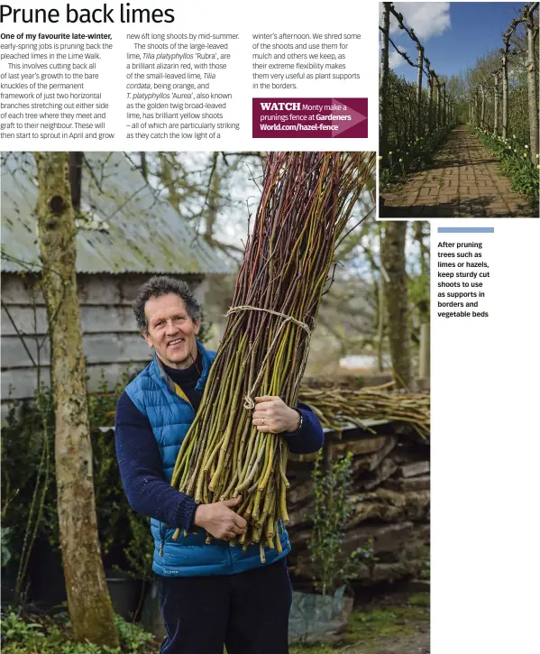  ?? ?? After pruning trees such as limes or hazels, keep sturdy cut shoots to use as supports in borders and vegetable beds