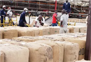  ??  ?? Workers at the Tobacco Sales Floor received tobacco bales from farmers yesterday ahead of the official opening of the 2021 selling season tomorrow. — Picture Innocent Makawa