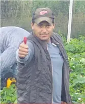  ??  ?? Felipe Peña est opérateur de machinerie agricole chez Onésime Pouliot sur l’île d’Orléans.