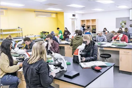  ?? TIM GRUBER/NEW YORK TIMES ?? University of Wisconsin-Stevens Point students work during a lab Nov. 27 as part of a plant biology class. Students and dollars have plummeted at small colleges like Stevens Point. Leaders are scrambling for fixes.