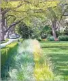  ?? Photograph­s by Jim Simmons ?? A 1.5-ACRE Pasadena lawn gets a water-thrifty makeover with meadow grasses, ferns and a vegetable garden, at left.