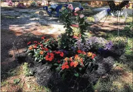  ?? JOSHUA SHARPE / JOSHUA.SHARPE@AJC.COM ?? Williams planted flowers Thursday night at his daughter’s grave in Goose Creek, S.C. He’s struggling to understand why Skylar is gone.