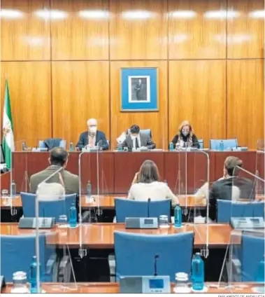  ?? PARLAMENTO DE ANDALUCIA ?? La comisión de investigac­ión sobre la Faffe, en un momento de su reunión de ayer.