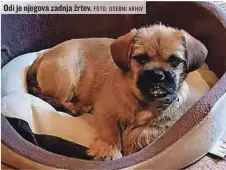  ?? FOTO: OSEBNI ARHIV ?? Odi je njegova zadnja žrtev.