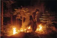  ?? NOAH BERGER — THE ASSOCIATED PRESS ?? A firefighte­r uses a drip torch to ignite vegetation while trying to stop the Dixie Fire from spreading July 26in Lassen National Forest.