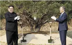  ??  ?? Símbolo. Los líderes de las dos Coreas plantaron un árbol.