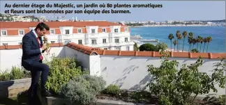  ??  ?? Au dernier étage du Majestic, un jardin où  plantes aromatique­s et fleurs sont bichonnées par son équipe des barmen.