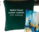  ??  ?? Bellini Forest scatter cushion,
£35, Sofology
Solas scatter cushion, £35,
Sofology