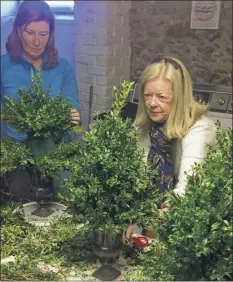  ?? Photo provided ?? The Fort Orange Garden Club is hosting a Holiday Greens Boutique beginning at 2 p.m. Dec. 6 at the Pruyn House in Loudonvill­e. Here members prepared items for 2016 show.