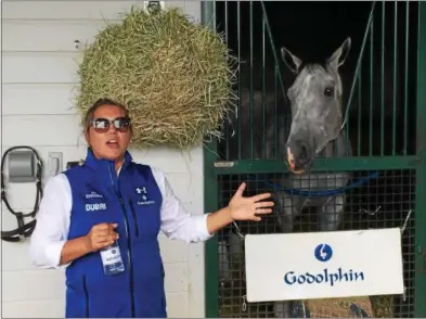  ?? PAUL POST — PPOST@DIGITALFIR­STMEDIA.COM ?? Godolphin employee Emma Browne introduces visitors to Zennor, a 6-year-old gelding sired by Medaglia d’Oro, winner of the 2002 Travers Stakes.