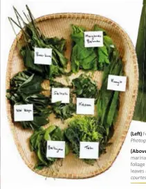  ?? ?? (Le!) Foraged leaves and herbs to makeakebot­ok- botok-botok.botok. Photophoto­graph by Law Soo Phye, courtesy of Khir Johari.