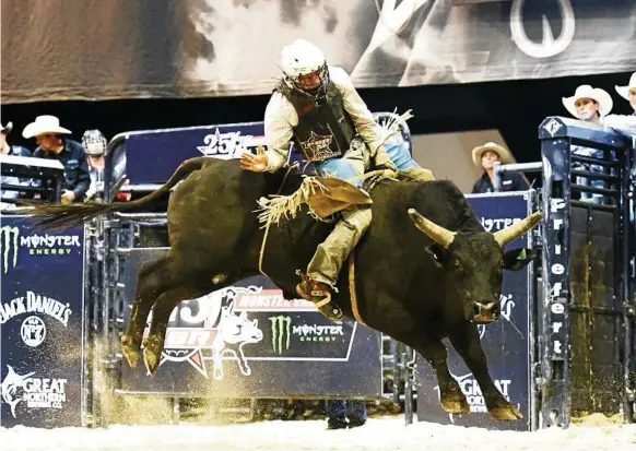  ?? PHOTOS: ELISE DERWIN ?? WILD RIDE: Kleier in round two marking an 86 on Hempenstal­l’s good bull Maximum Rat.