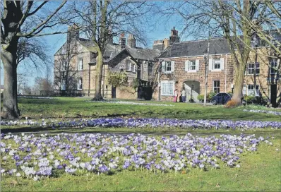  ?? PICTURE: TONY JOHNSON. ?? NICE LITTLE EARNER: In Harrogate, house price growth has out-paced earnings by more than £12,500 over the last two years.