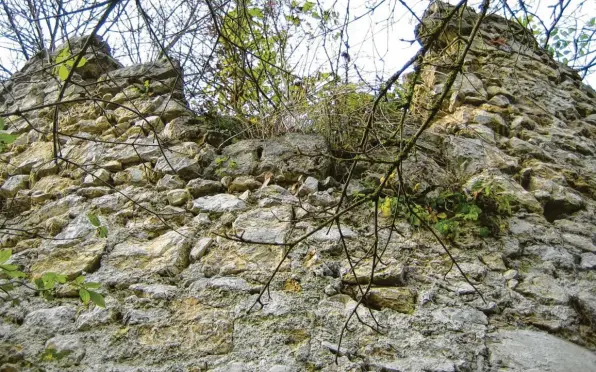  ?? Fotos: Helmut Herreiner ?? Ein mehrere Meter hoher Turmstumpf direkt am Steilhang zeigt die Stelle, an der sich einst einer der Wehrtürme der Hohenburg befand.