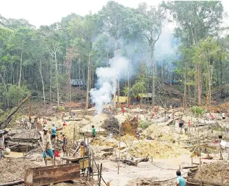  ?? EFE ?? De acuerdo con los estudios de los expertos la deforestac­ión interrumpe el ciclo de las lluvias.