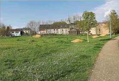  ?? Foto: Charlot Kuhn ?? Das Wiesenarea­l mit seinen beiden Wasserläuf­en wird von den Bürgern als idealer Standort für die Schaffung eines neuen Dorfkerns mit Park in Buschdorf gesehen.