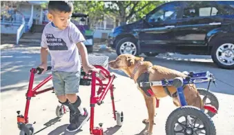 ?? [CBS ALL ACCESS/VIA AP] ?? This image released by CBS All Access shows Ace Ruelas-Jimenez, left, with dog Frances in a scene from the episode “A Discount Service Dog” on the new original docuseries “That Animal Rescue Show,” launching on Thursday.
