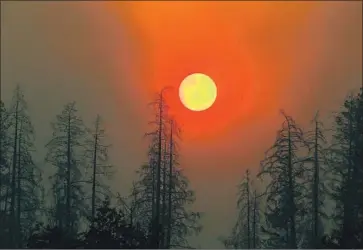  ?? Luis Sinco Los Angeles Times ?? SMOKE from the Kincade fire partly obscures the sun as it rises over trees on Chalk Hill Road near Healdsburg, Calif. The blaze, which forced nearly 200,000 people to evacuate, is finally nearing full containmen­t.