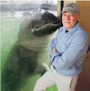  ?? Ted Rhodes/Calgary Herald ?? Jake Veasey, the zoo’s director of animal care, conservati­on and research, checks on Lobi, one of the zoo hippos.